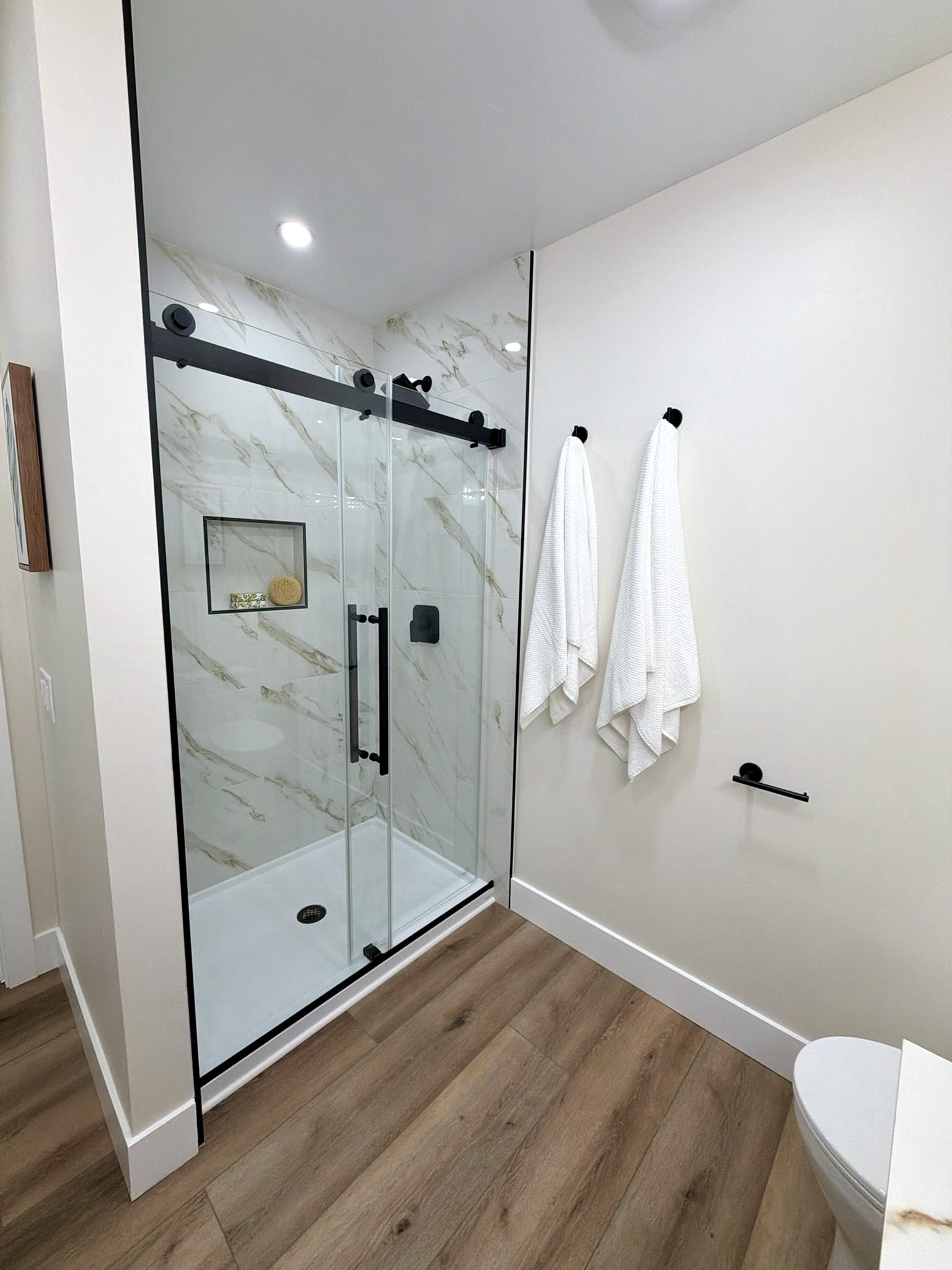 Whole Home Remodel